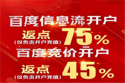 某电商平台的SEM运营托管全记录